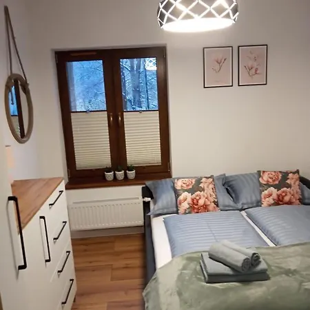 Apartament Silence Green Park - Strefa Spa Szklarska Poręba Zewnętrze zdjęcie