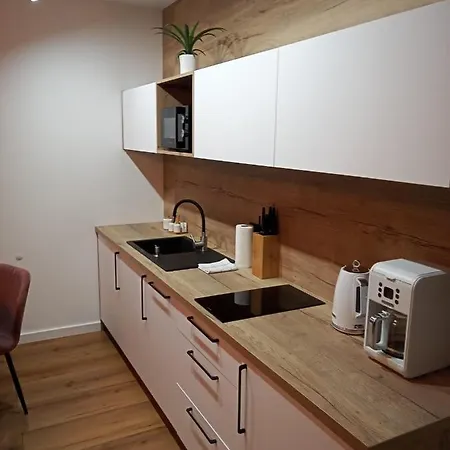 Apartament Silence Green Park - Strefa Spa Szklarska Poręba Zewnętrze zdjęcie